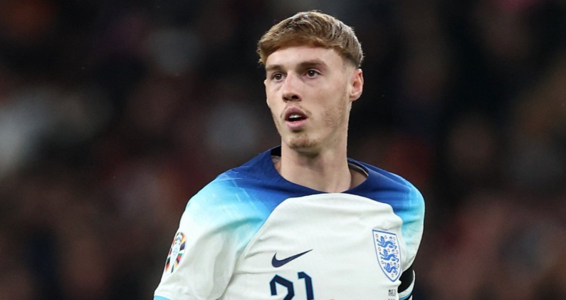 体安排来看 体安排来看