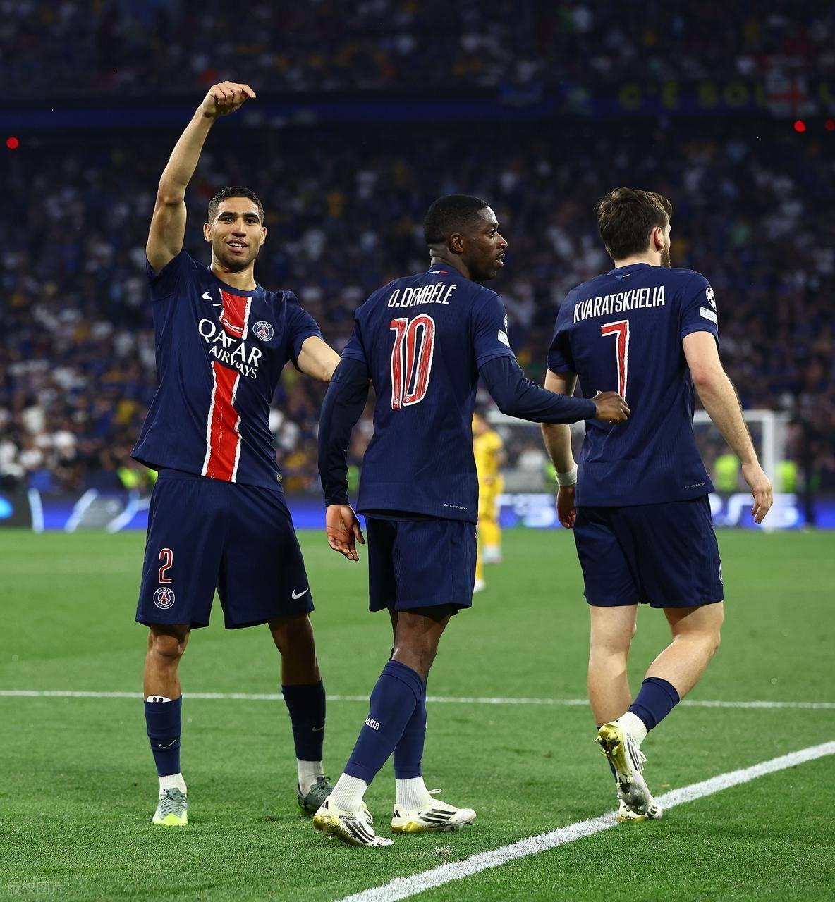 豪华数据背 豪华数据背