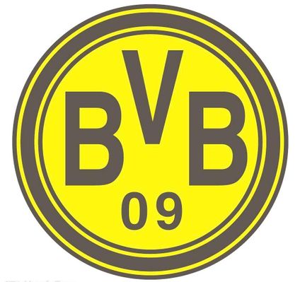 洲赛场积累 洲赛场积累