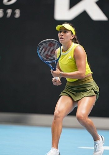 是指规则 是指规则