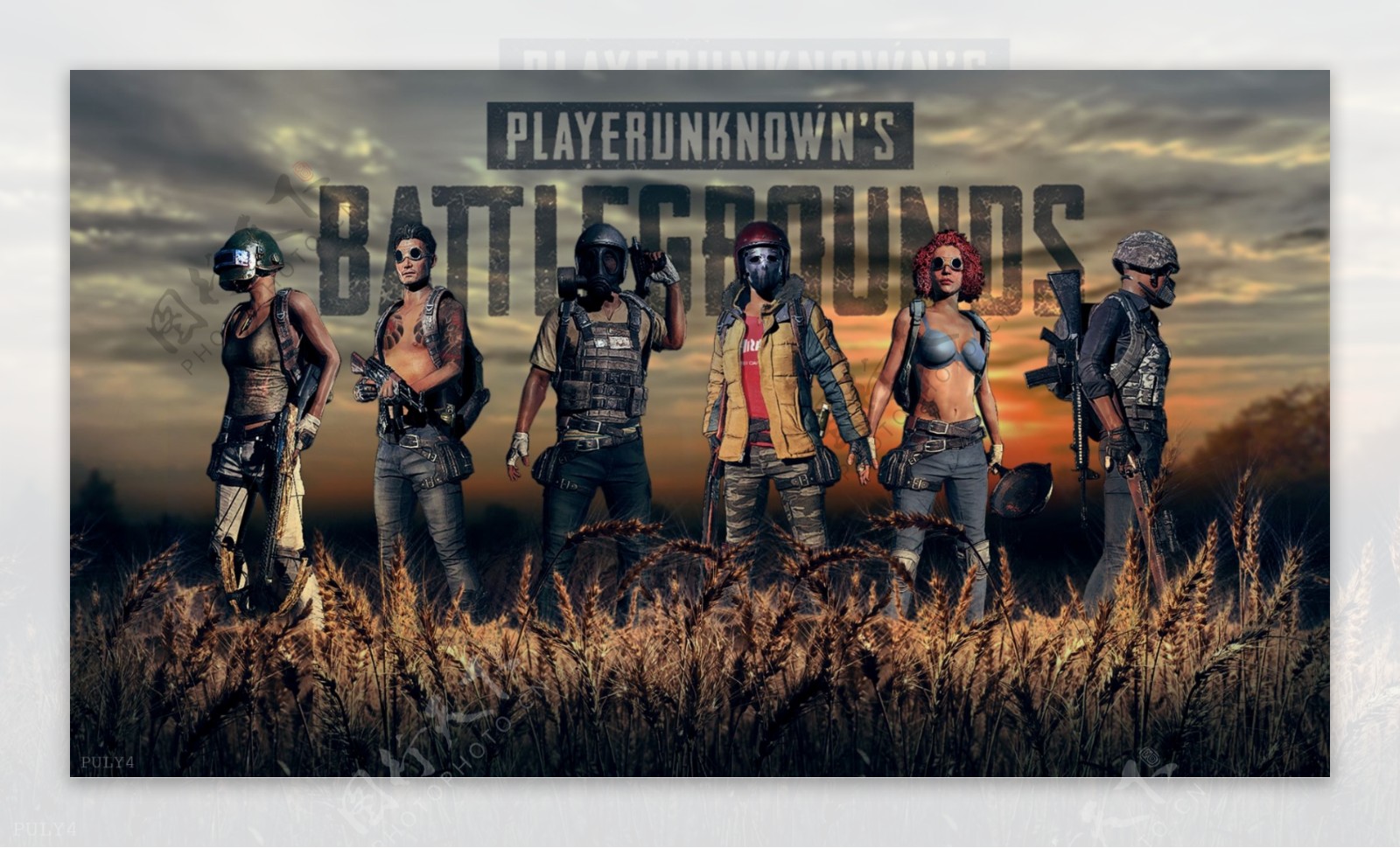 那一年不仅 那一年不仅